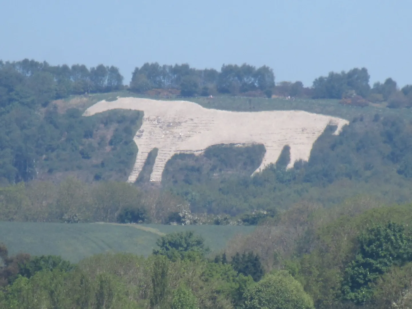 Photo of Kilburn White Horse, a hill figure near Coxwold in the North York Moors, North Yorkshire, northern England.