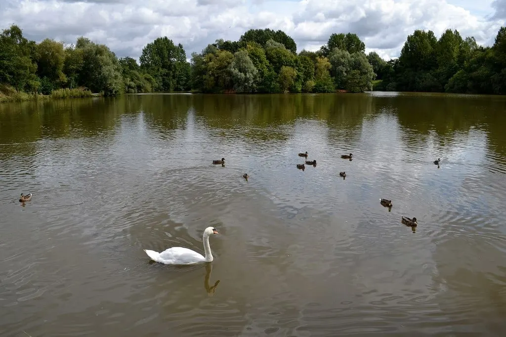 Photo of Ryton Pools Country Park, a country park near Coventry, Warwickshire, central England.
