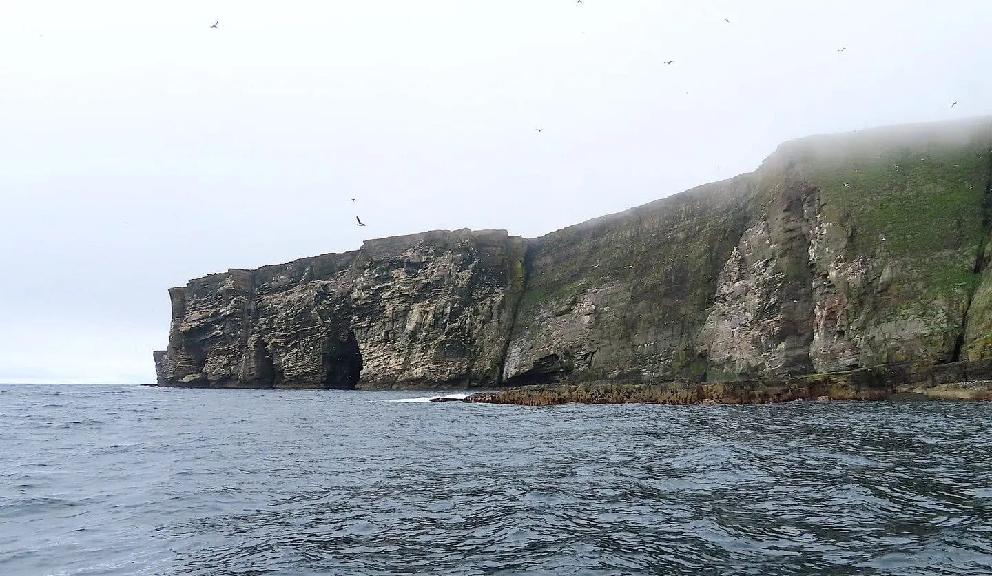 Photo of the Noss, an island in the Shetland Islands, the Scottish Highlands and Islands.