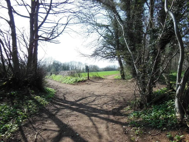 Photo of Wotton Hill, a Site of Special Scientific Interest near Nailsworth in the Cotswolds, Gloucestershire, south west England.