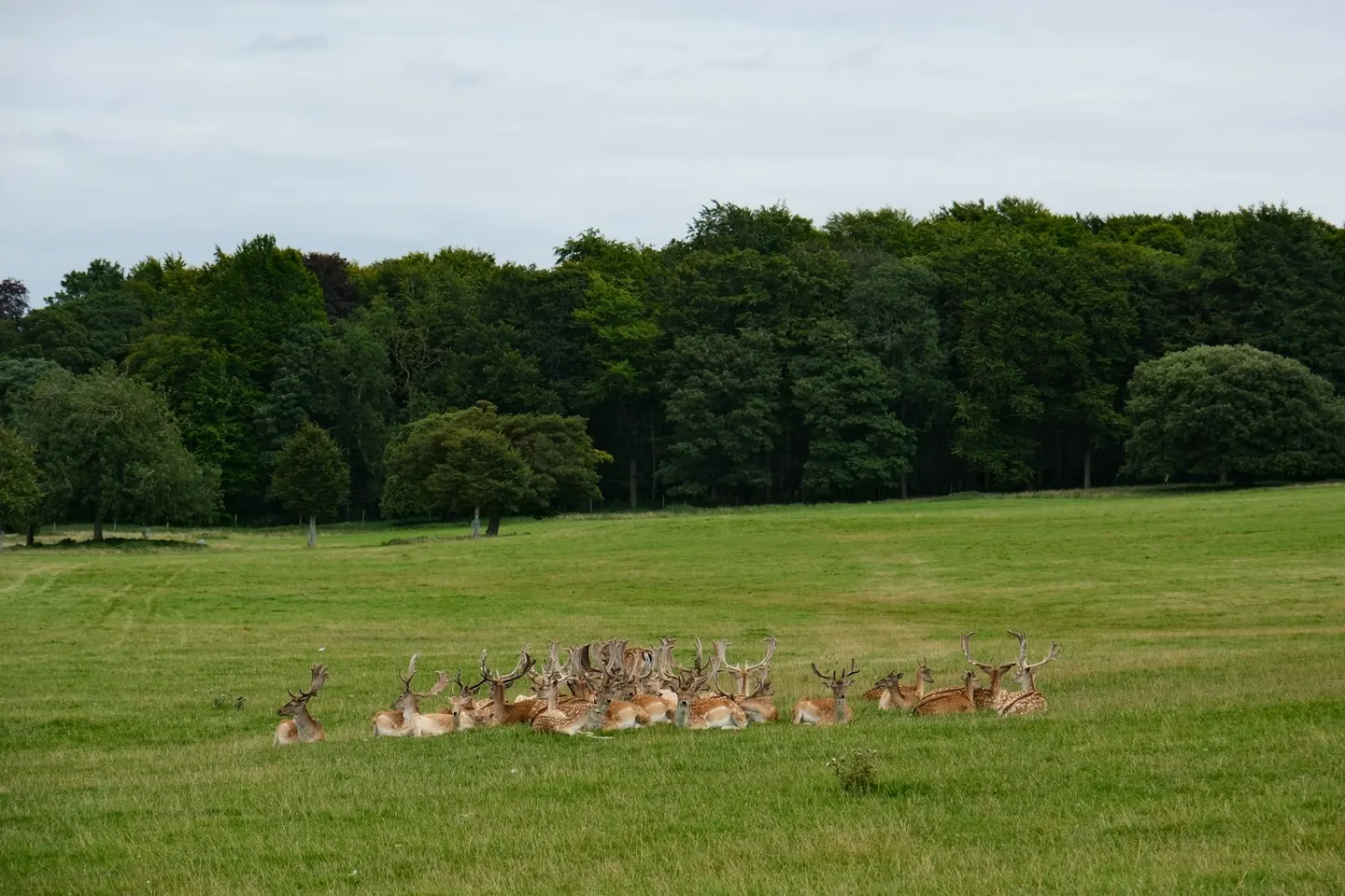 Photo of Holkham Hall, a Grade I registered house & garden near Wells-next-the-Sea, Norfolk, eastern England.