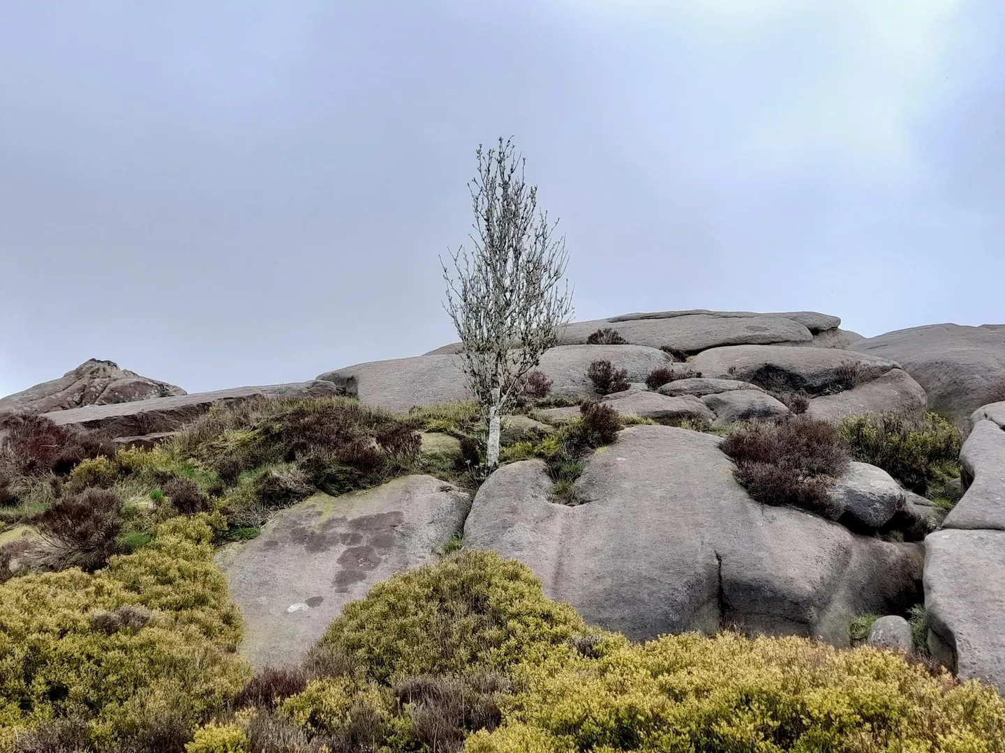 Photo of Ramshaw Rocks, a rock formation near Flash in the Peak District, Staffordshire, central England.