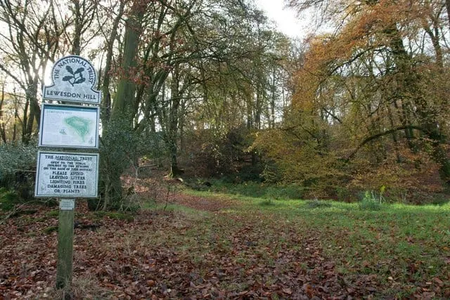 Photo: Lewesdon Hill, a 279m hill near Beaminster, Dorset, south west England.