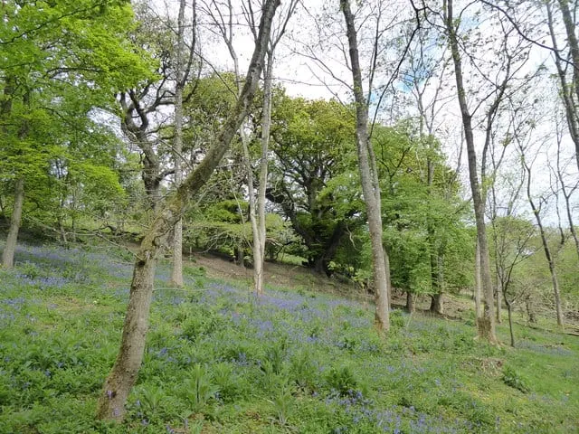 Photo of Walcot, a country estate near Clunton, Shropshire, central England.