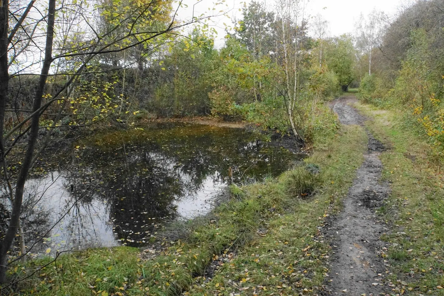 Photo of Poulter Country Park, a country park near Langwith - Whaley Thorns, Derbyshire, central England.