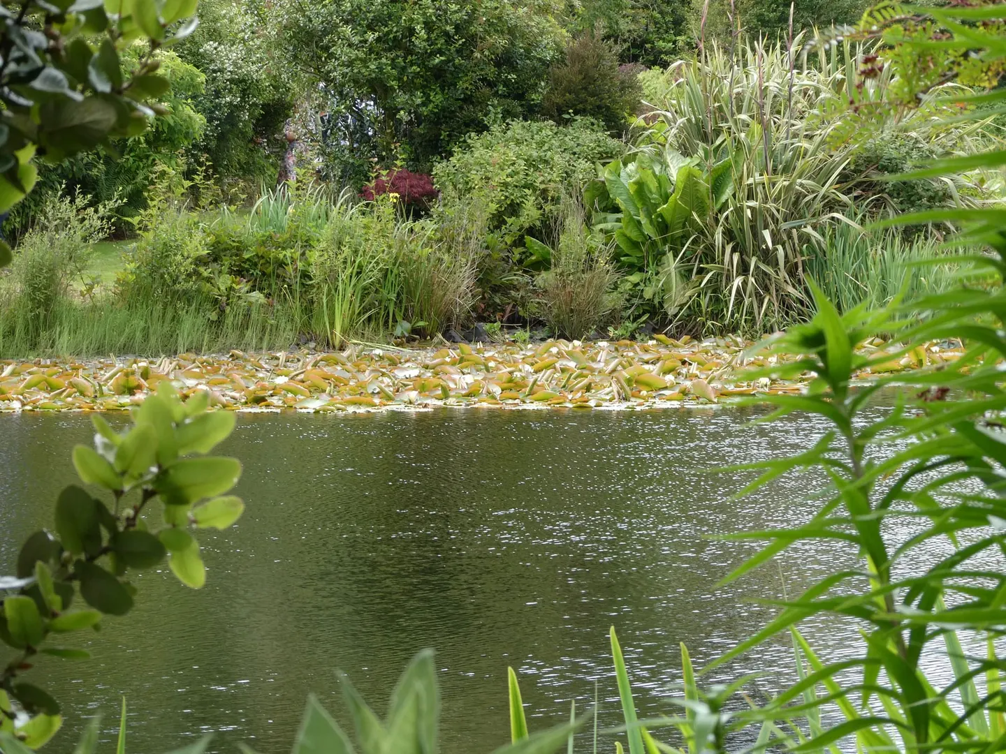 Photo of Glenwhan Gardens, a garden near Dunragit, Dumfries and Galloway, southern Scotland.
