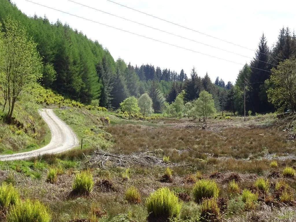 Photo of Knapdale, a National Scenic Area in Argyll and Bute, the Scottish Highlands and Islands.