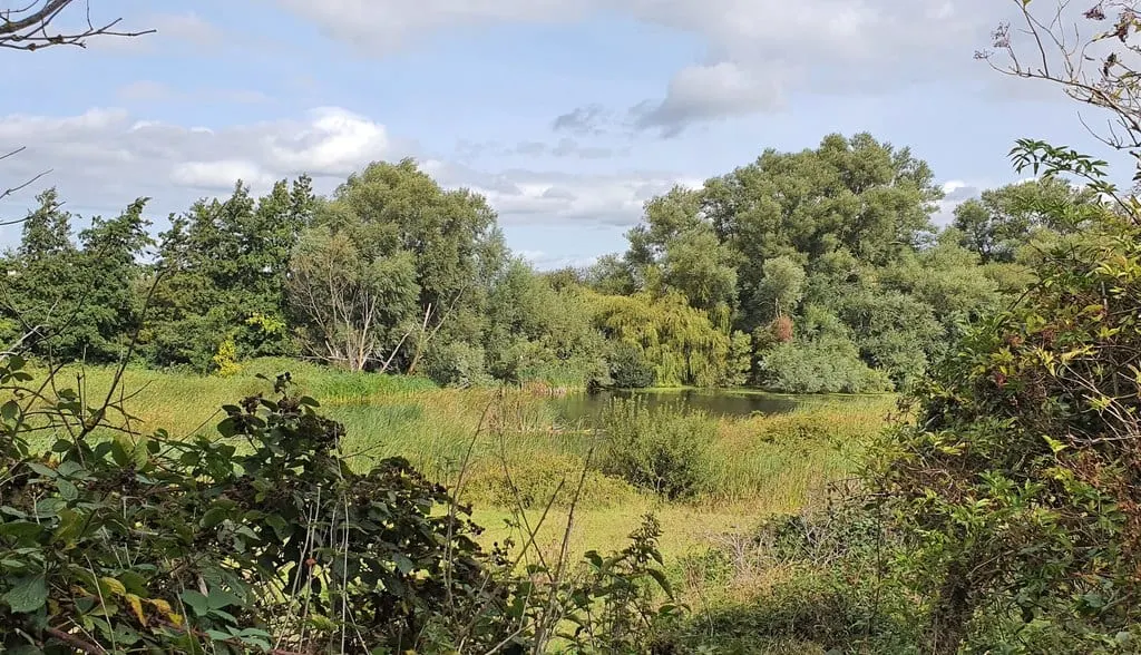 Photo of Cudmore Grove Country Park, a country park near Brightlingsea, Essex, eastern England.