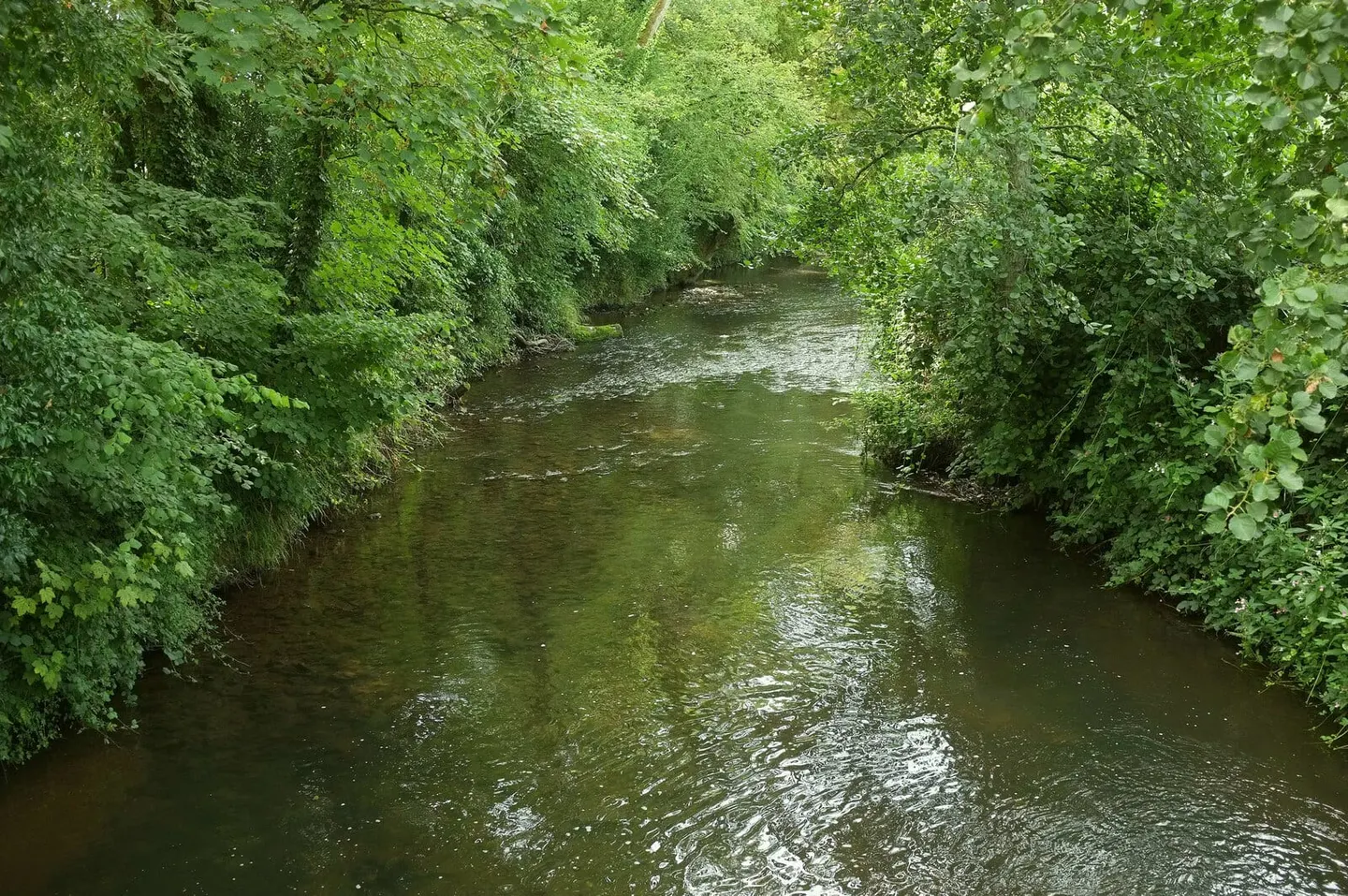 Photo of the River Axe, a 22-mile river running from Beaminster Down to Seaton, south west England.