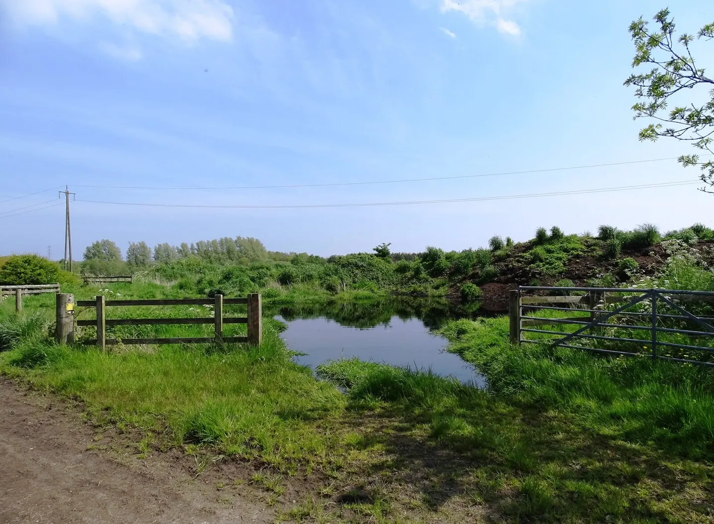 Photo of Rising Sun Country Park, a country park near Newcastle upon Tyne, Tyne and Wear, north east England.