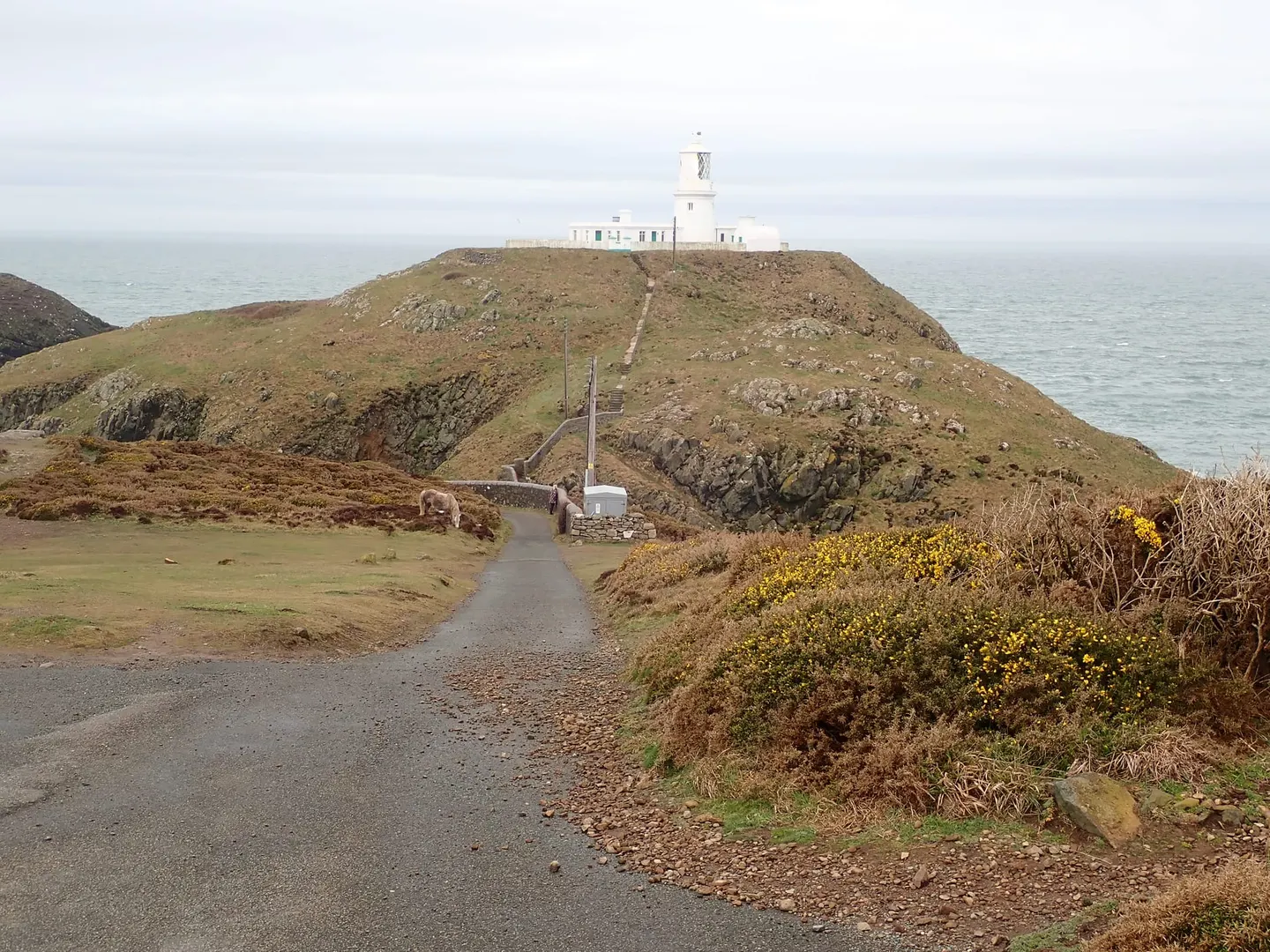 Photo of Strumble Head, a visitor attraction near Fishguard, Pembrokeshire, south west Wales.