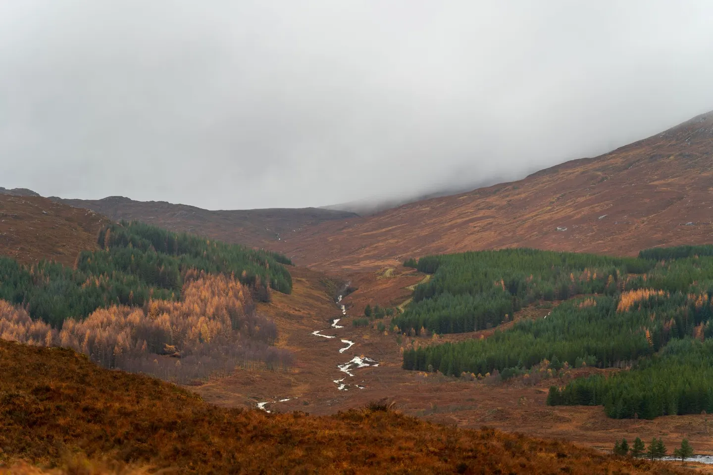 Photo along the Southern Upland Way, a long-distance trail running from Portpatrick to Cockburnspath, southern Scotland.