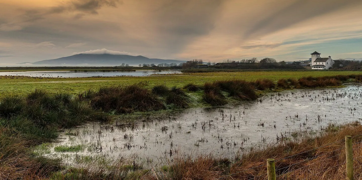 Photo of WWT Caerlaverock, a nature reserve near New Abbey in the Nith Estuary, Dumfries and Galloway, southern Scotland.