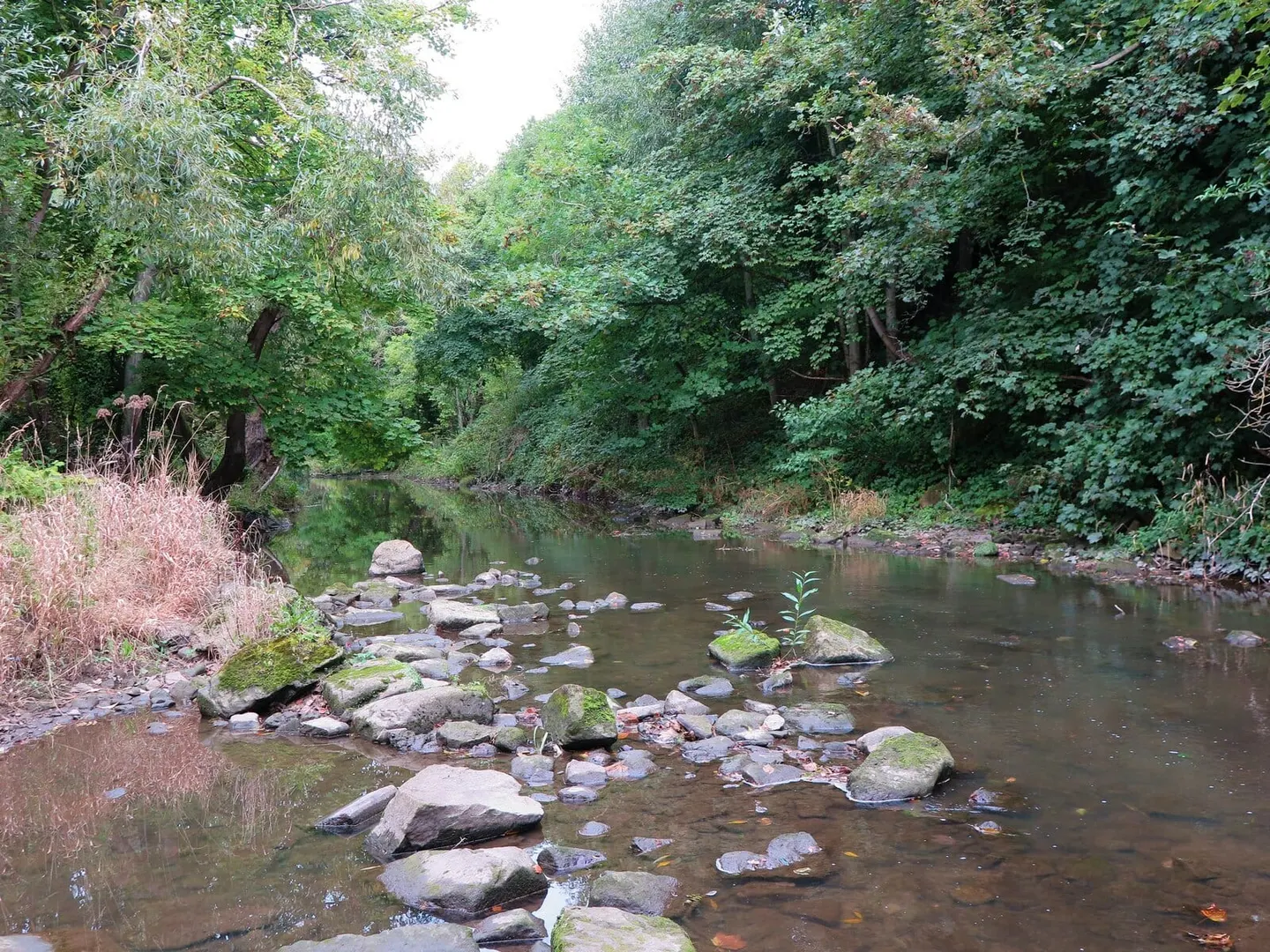 Photo of Bedlington Country Park, a country park near Newbiggin-by-the-Sea, Northumberland, north east England.