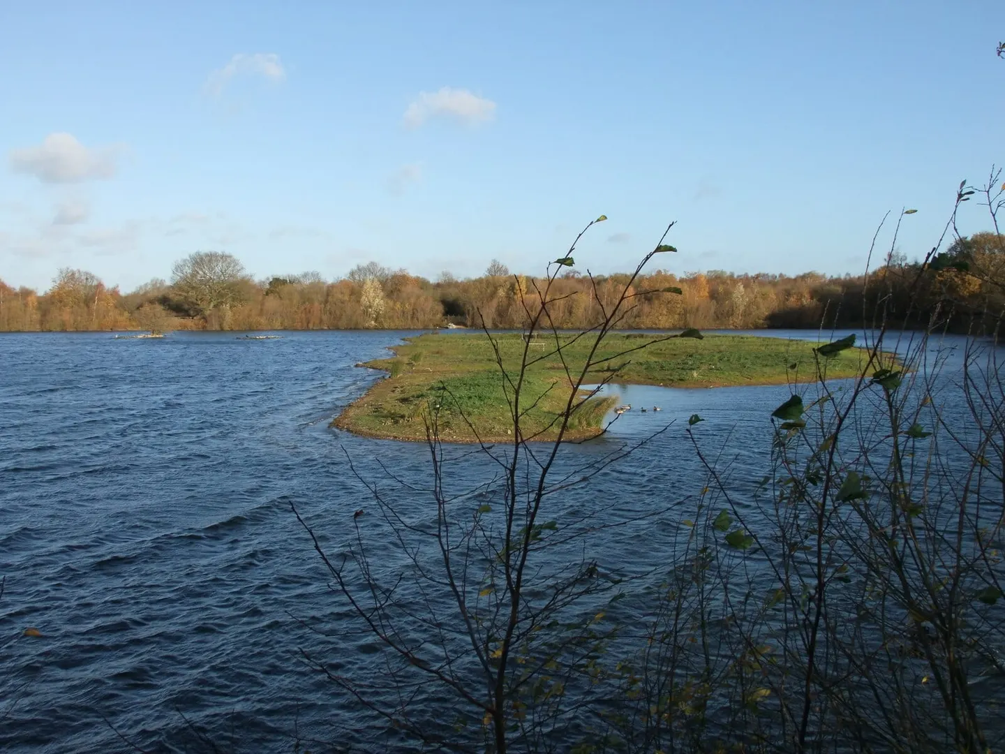 Photo of Whisby Nature Park, a nature reserve in Lincolnshire, central England.