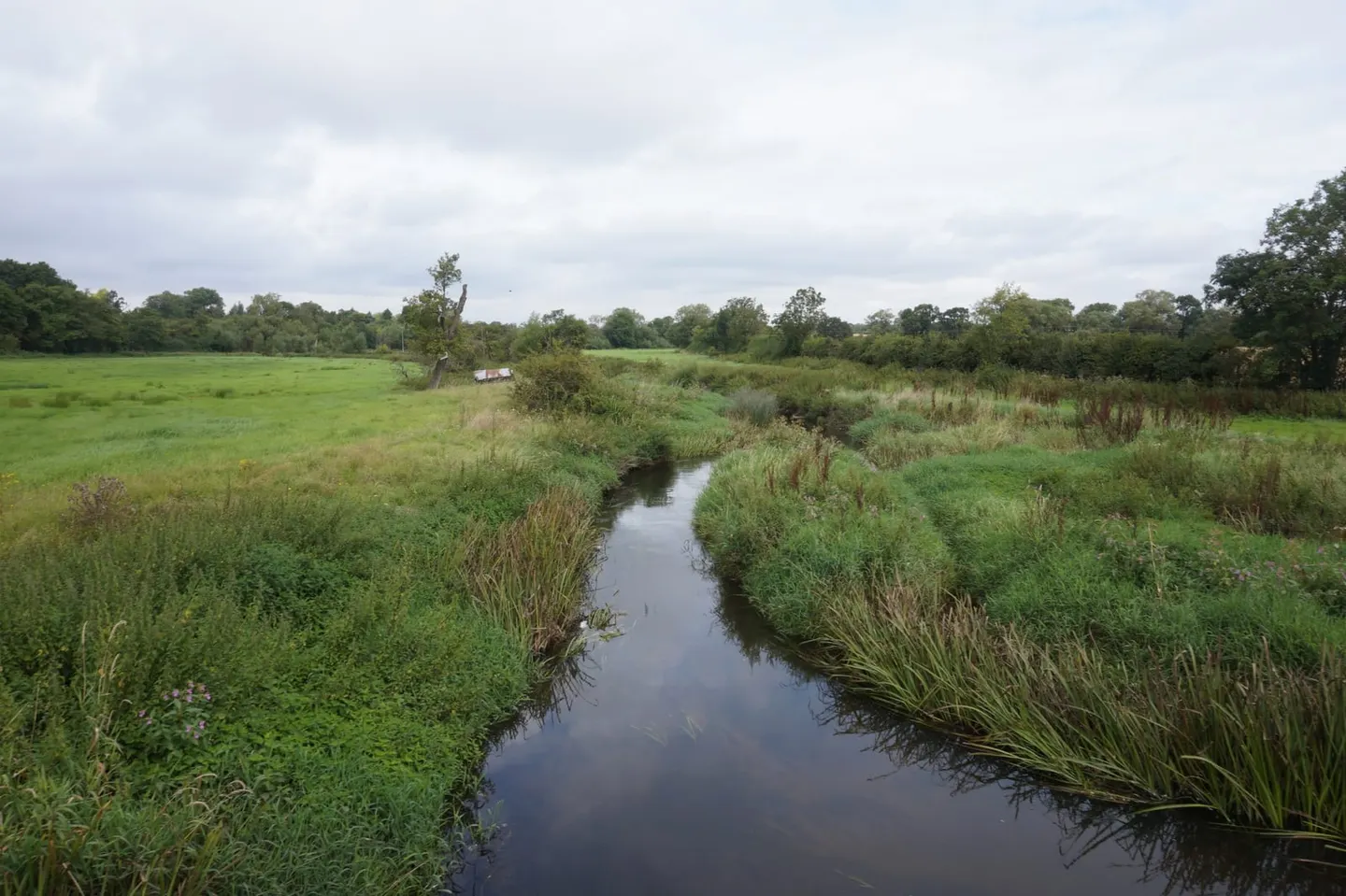 Photo of the River Blythe, a 25-mile river running from Earlswood to River Tame at Coleshill, central England.