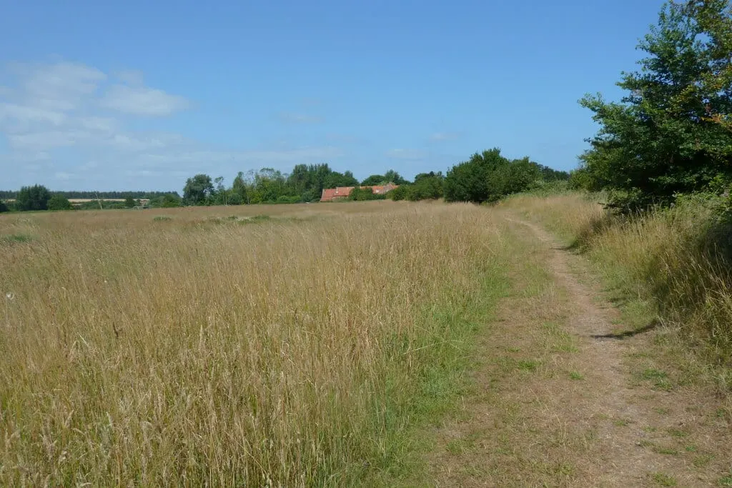 Photo of the coast at Burnham Overy, Norfolk, eastern England.