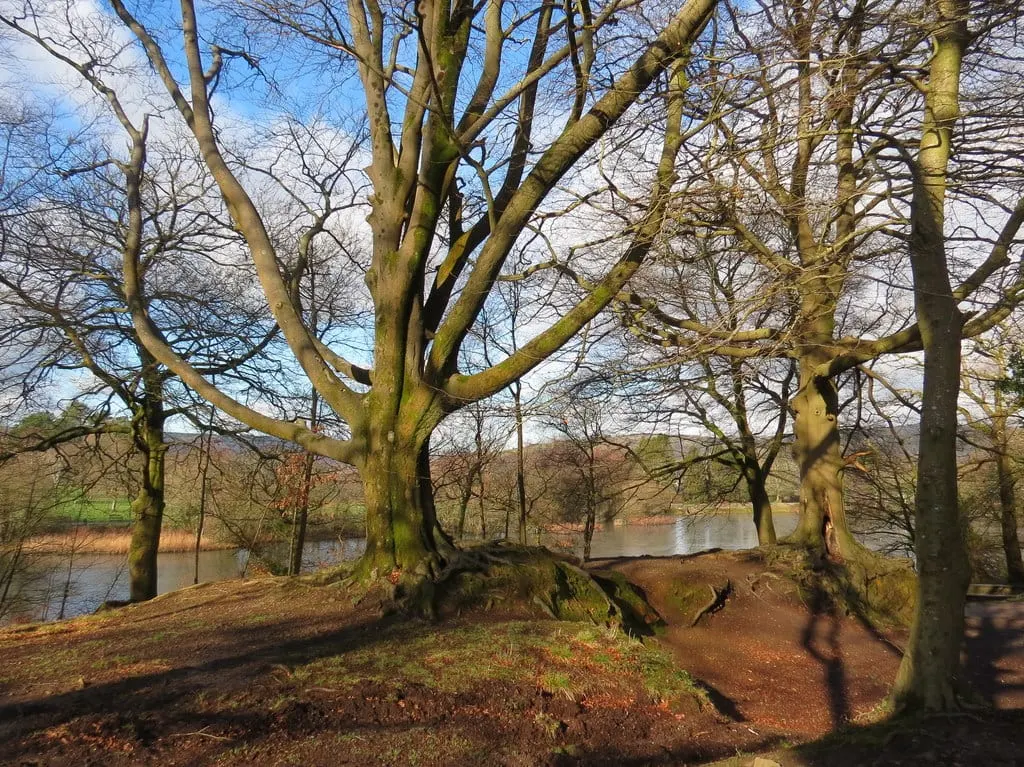 Photo of Gnoll Estate Country Park, a garden in Neath Port Talbot, south west Wales.