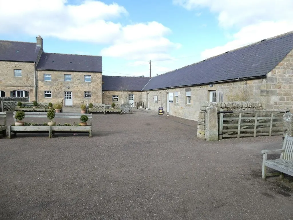 Photo of Kirkharle Courtyard & Lake, a garden in Northumberland, north east England.