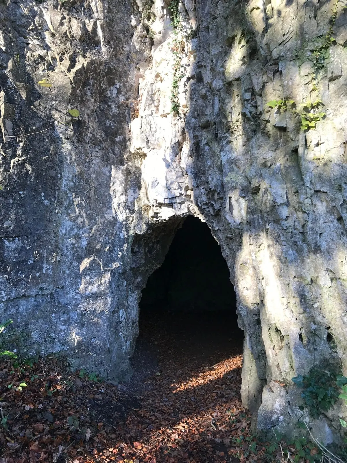 Photo of Giant's Cave, a cave near St Arvans in the Wye Valley, Monmouthshire, south east Wales.