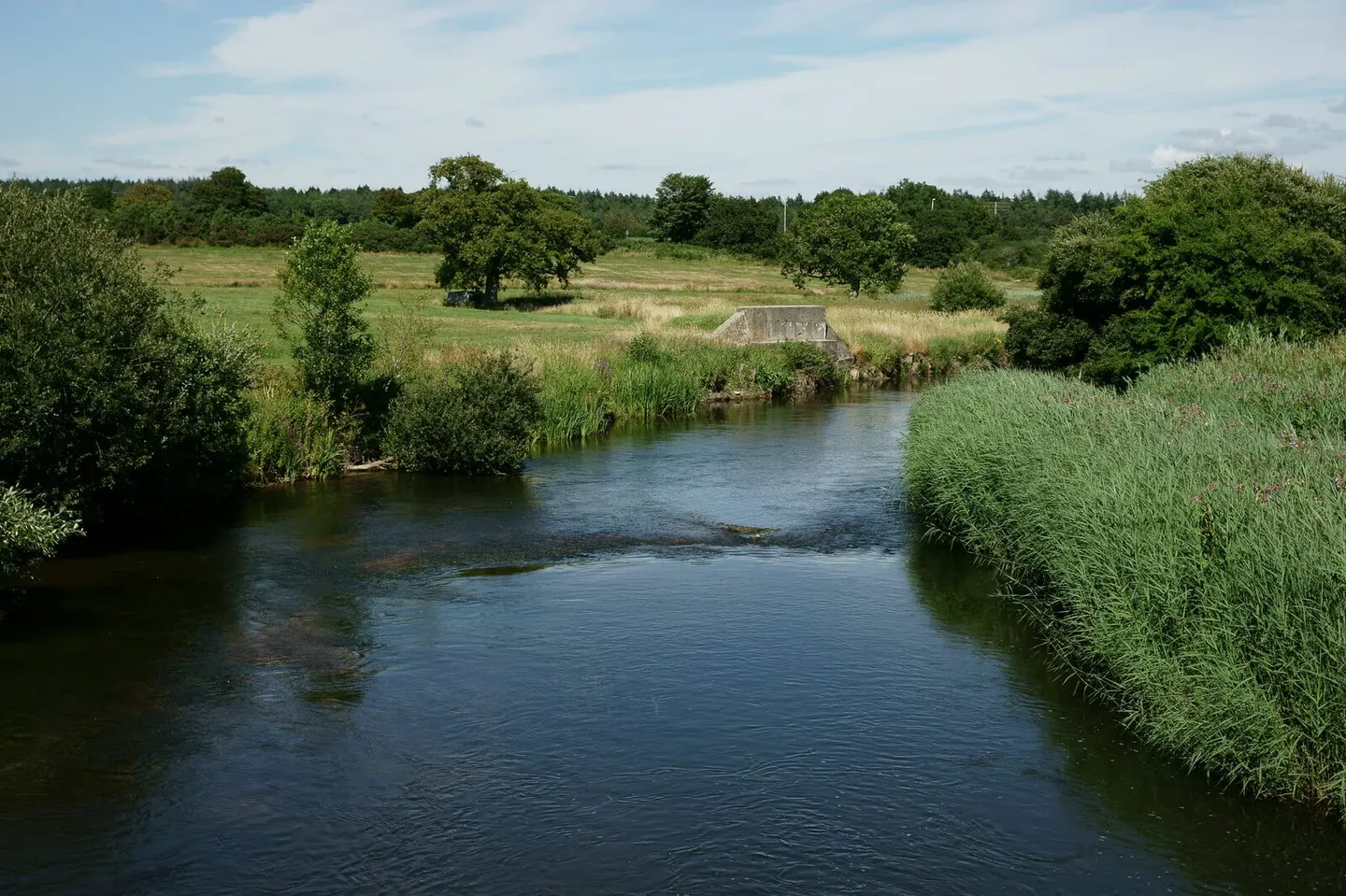 Photo of the River Frome, a 31-mile river running from Evershot to Poole, south west England.