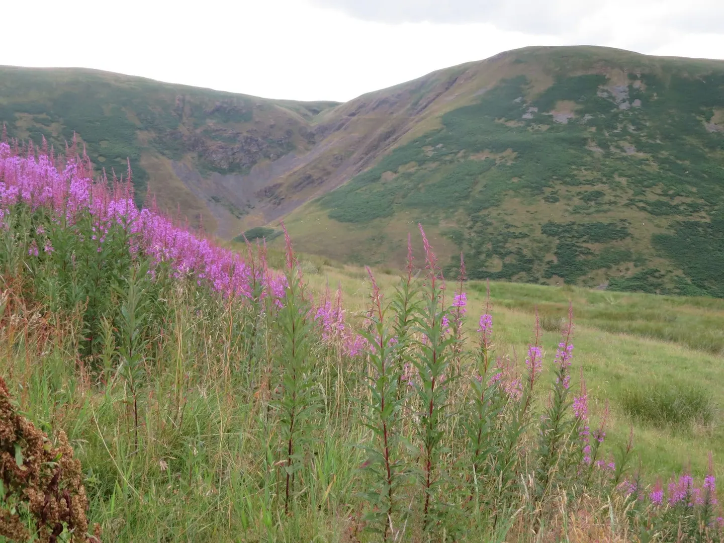 Photo: Devil's Beef Tub, a viewpoint near Moffat, Dumfries and Galloway, southern Scotland.