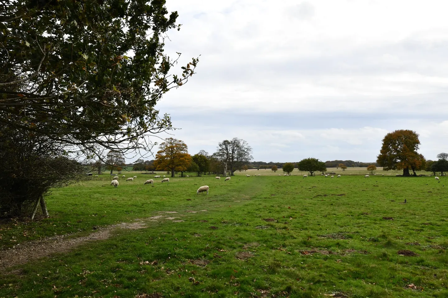 Photo of Felbrigg Hall, a Grade II* registered house & garden near Cromer, Norfolk, eastern England.