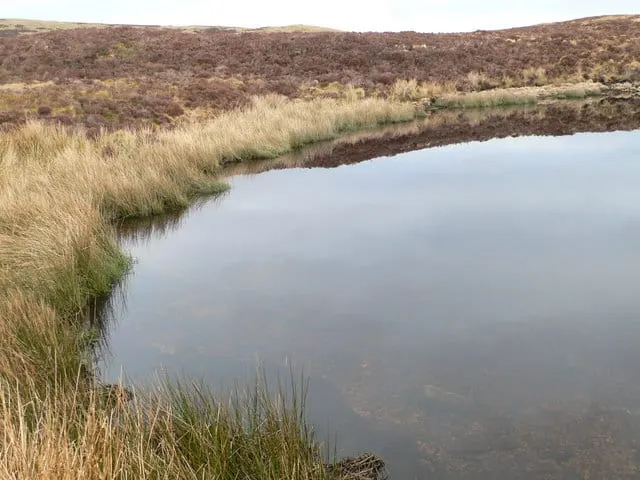 Photo of Llyn Conwy, a lake near Penmachno in Eryri, Conwy, north Wales.