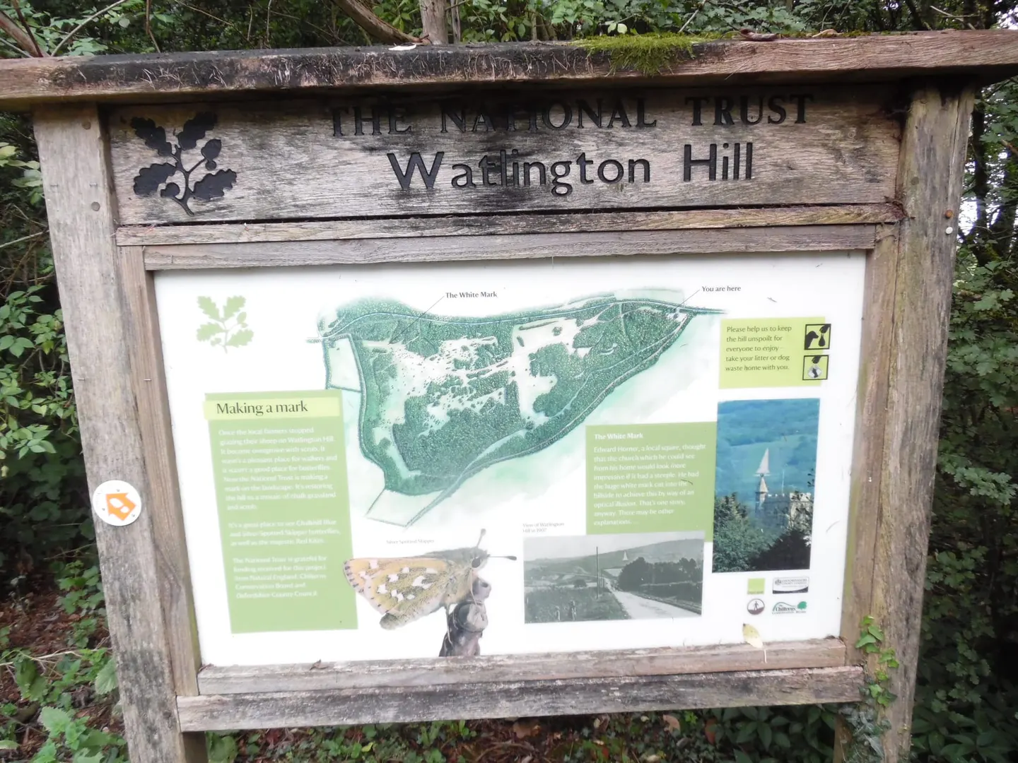 Photo of Watlington Hill and Woods, a country estate in the Chilterns, Oxfordshire, south east England.