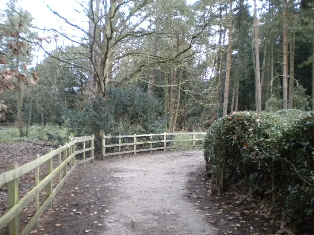 Photo of Elvaston Castle Country Park, a country park in Derbyshire, central England.