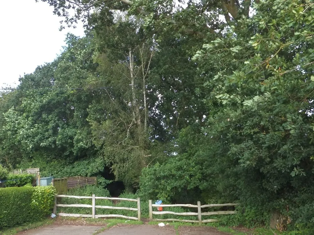 Photo of Borthwood Copse, a nature reserve near Shanklin Old Village, the Isle of Wight, south east England.