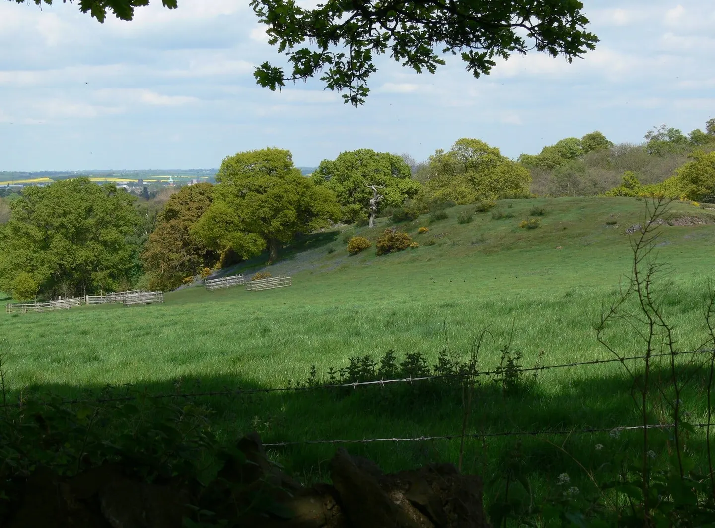 Photo of Jubilee Wood Country Park, a country park near Woodhouse Eaves, Leicestershire, central England.