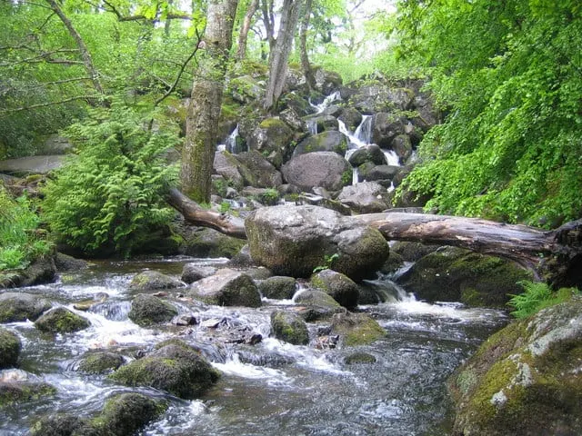 Photo of Becky Falls, a waterfall near Lustleigh in Dartmoor, Devon, south west England.