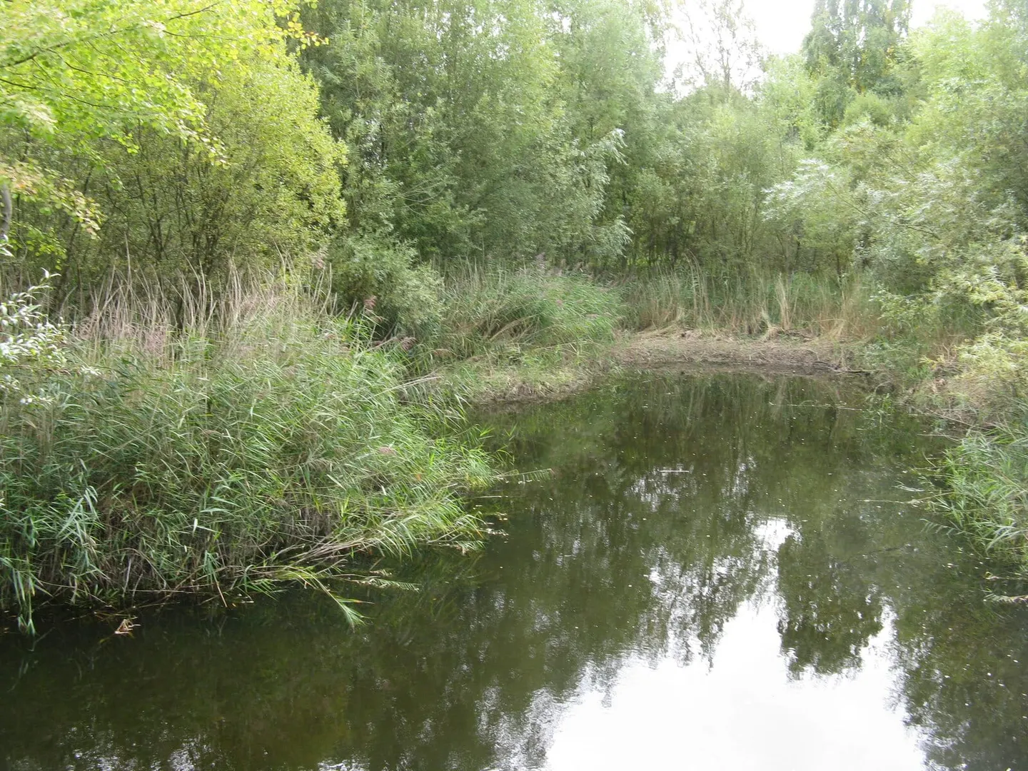 Photo of Harrold-Odell Country Park, a country park in Bedfordshire, eastern England.