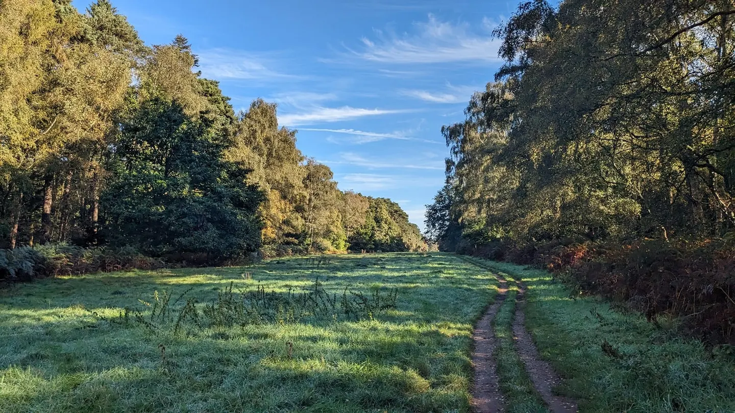 Photo of Sandringham Country Park, a country park near King's Lynn, Norfolk, eastern England.