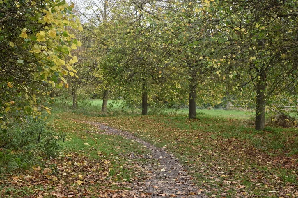 Photo of Carner Country Park, a country park near Rochester, Kent, south east England.