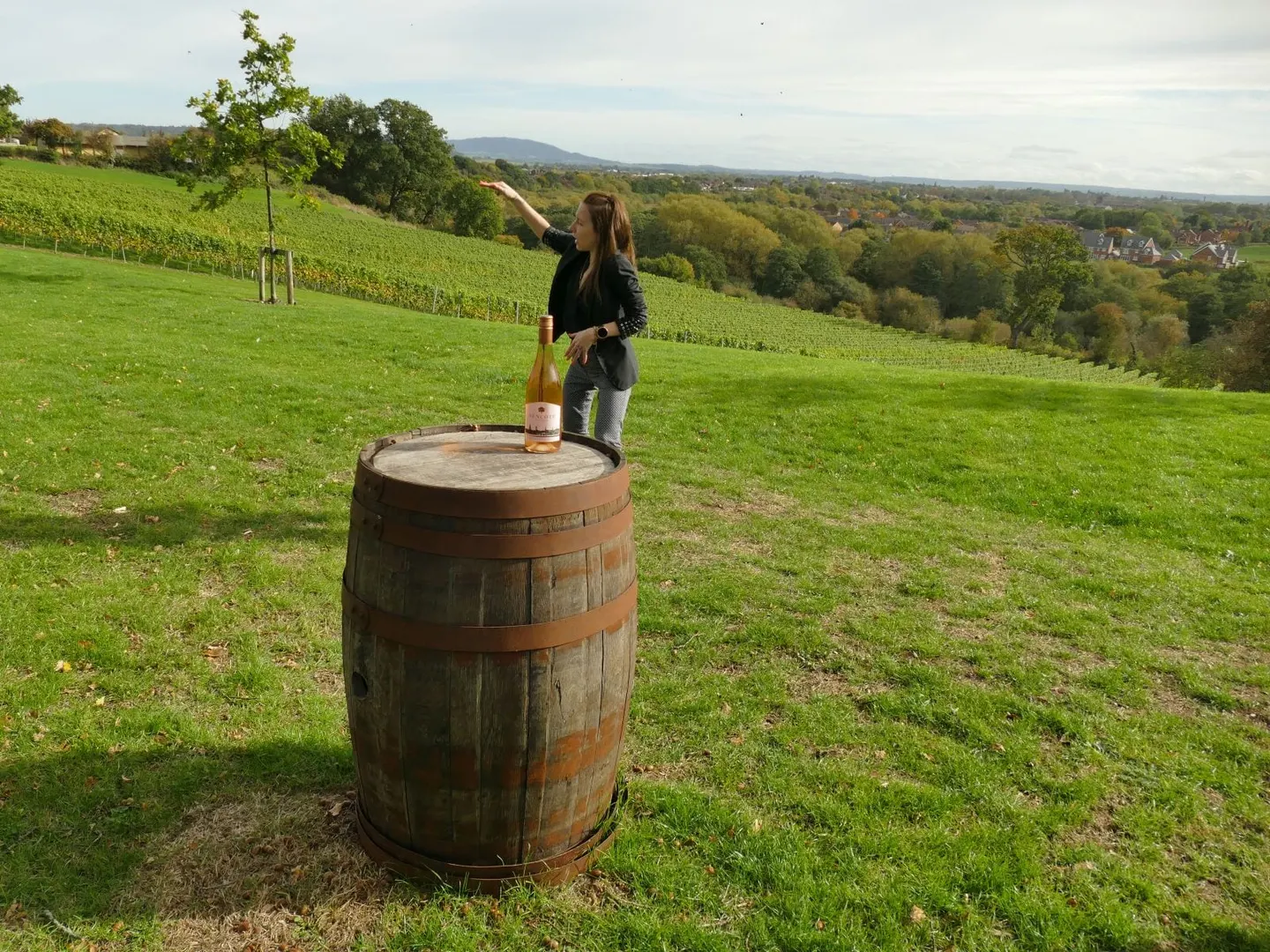 Photo of Hencote Vineyard, a vineyard near Shrewsbury, Shropshire, central England.