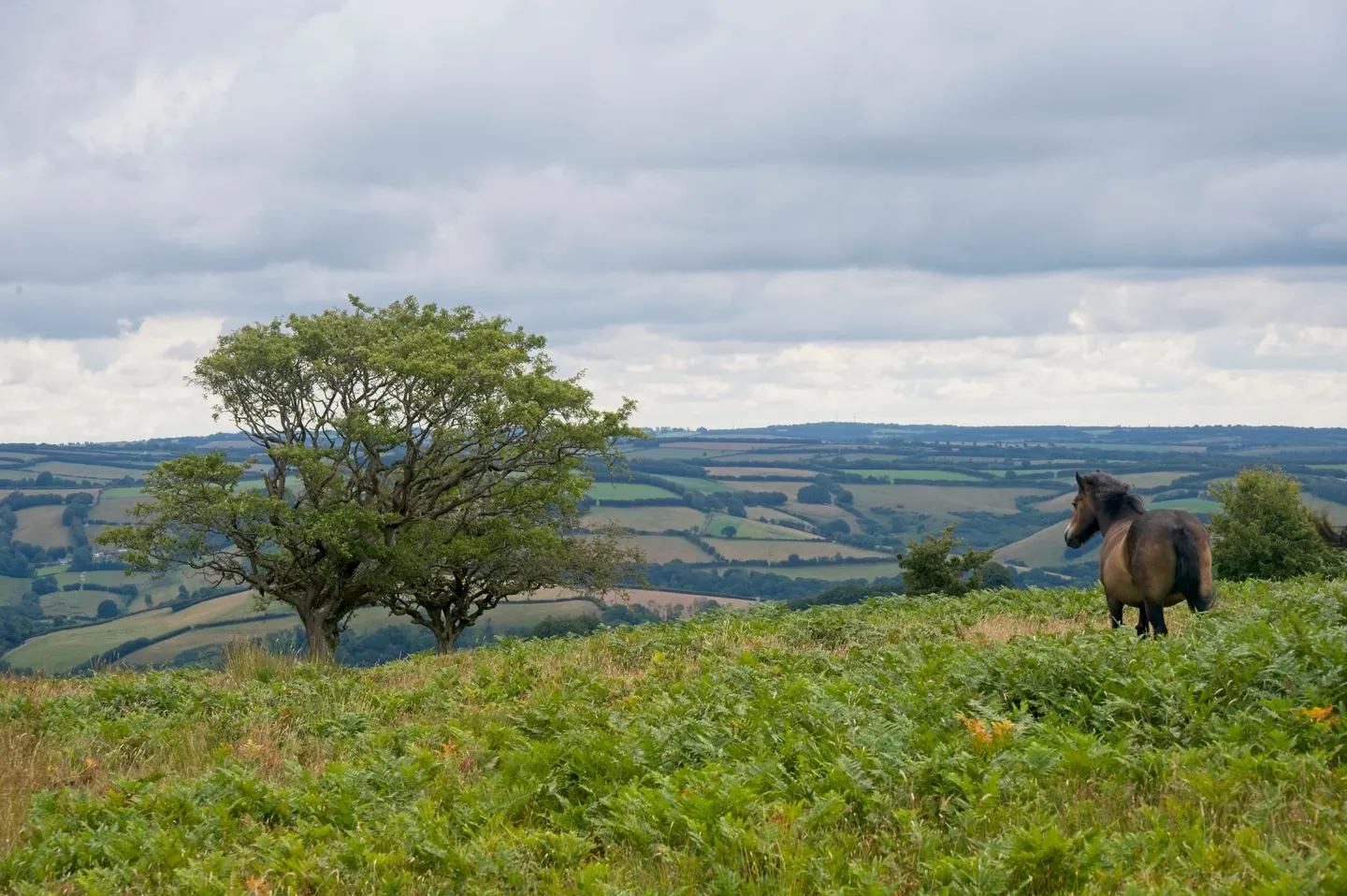 Photo of Exmoor, a National Park in south west England.