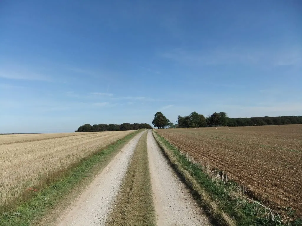 Photo: Saxby Wold, a 102m hill near Barton-upon-Humber, Lincolnshire, central England.