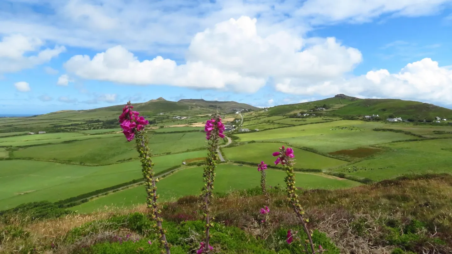Photo of Plas Yn Rhiw, a house & garden near Aberdaron in Llŷn, Gwynedd, north Wales.