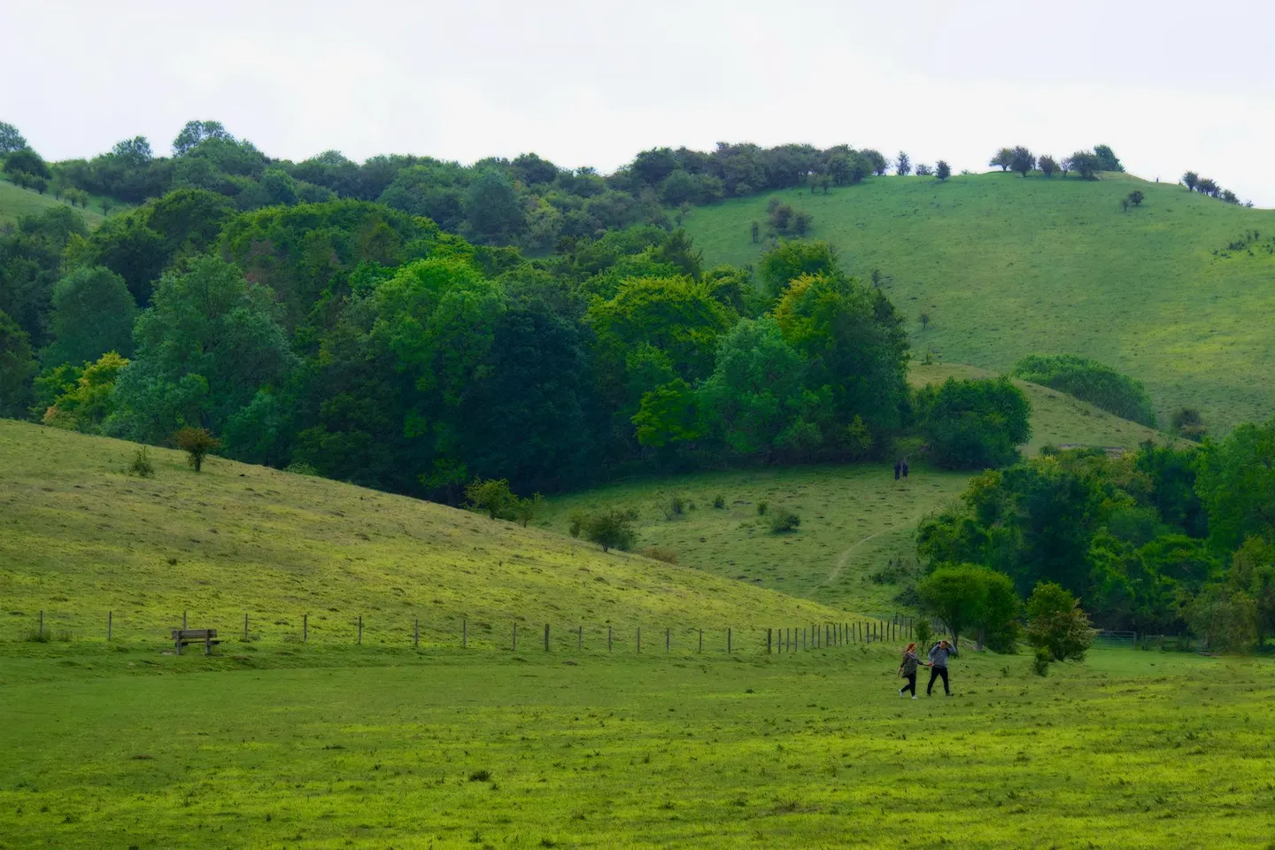 Photo along the Ridgeway, an 86-mile National Trail running from Avebury to Ivinghoe, England.