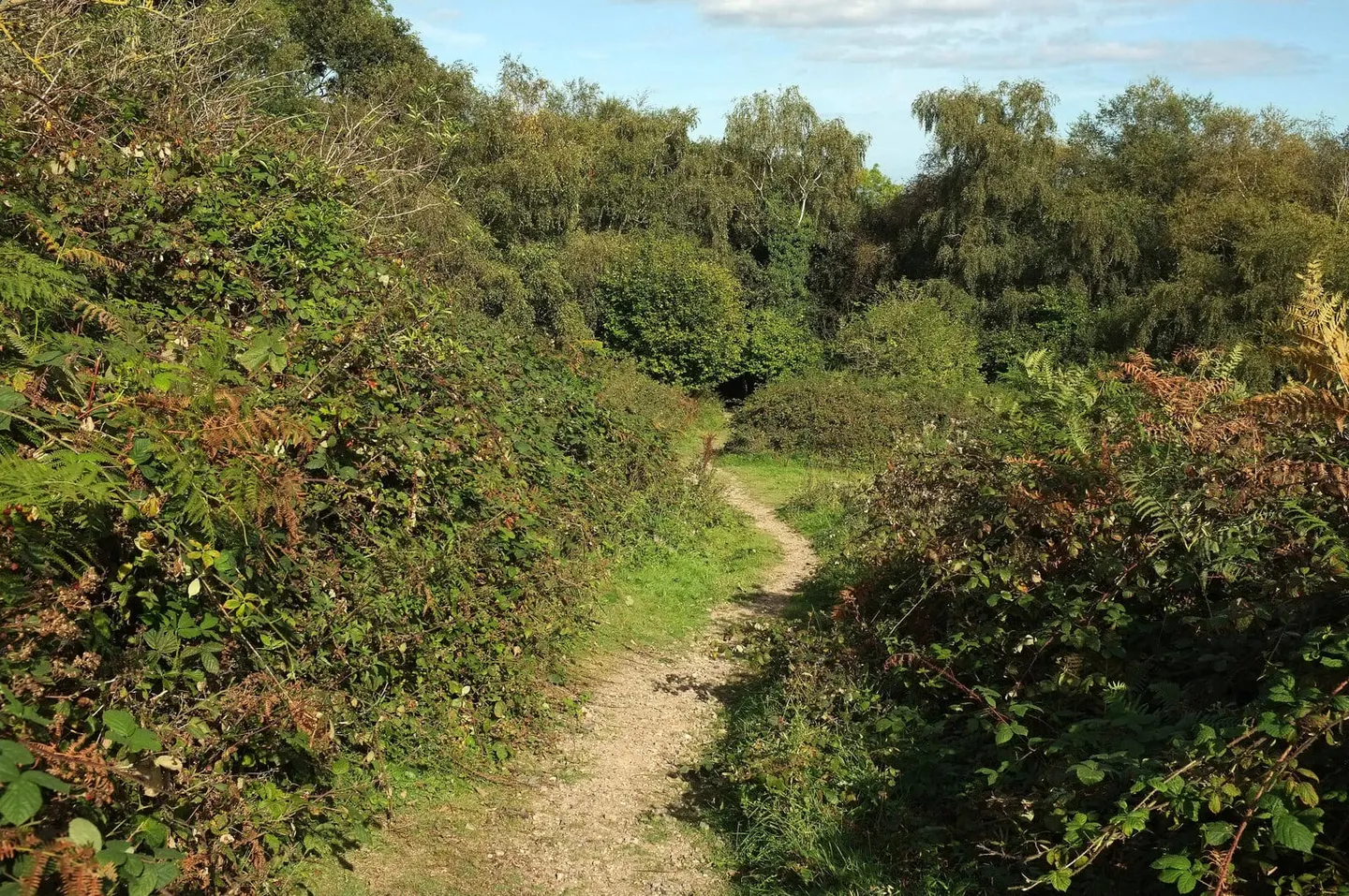 Photo along the Dartmoor Way, a 108-mile long-distance path in south west England.