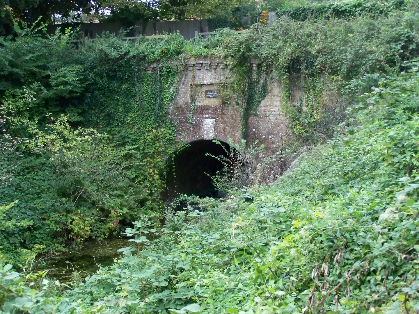 Photo of Greywell Tunnel ( Basingstoke Canal ), a Site of Special Scientific Interest in Hampshire, south east England.