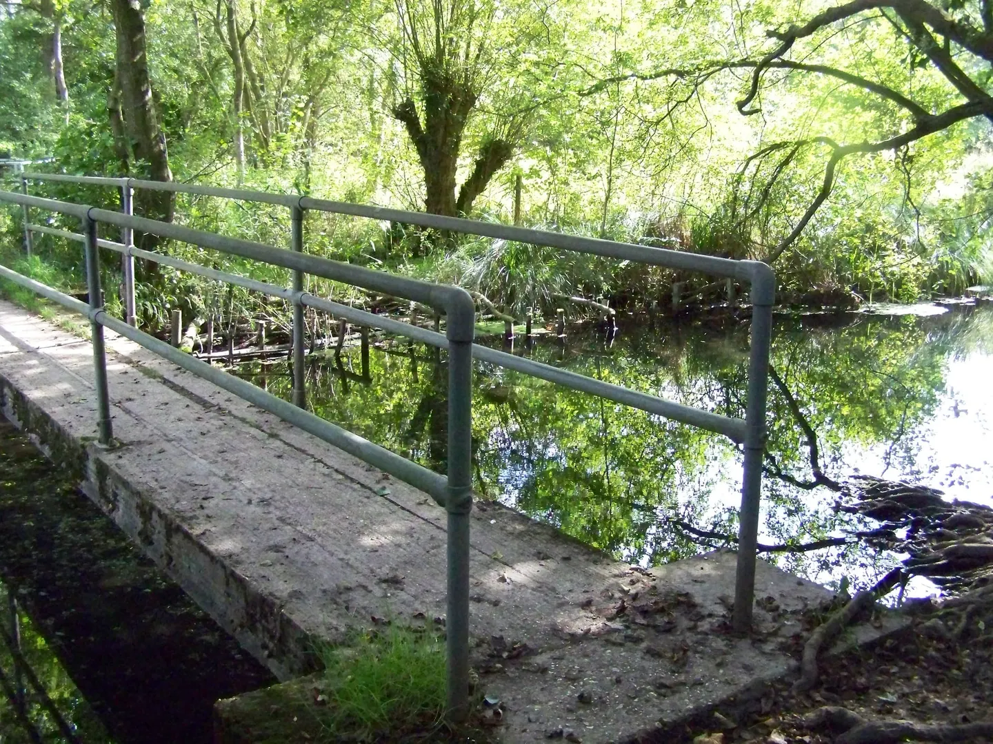 Photo of Greywell Fen, a Site of Special Scientific Interest in Hampshire, south east England.