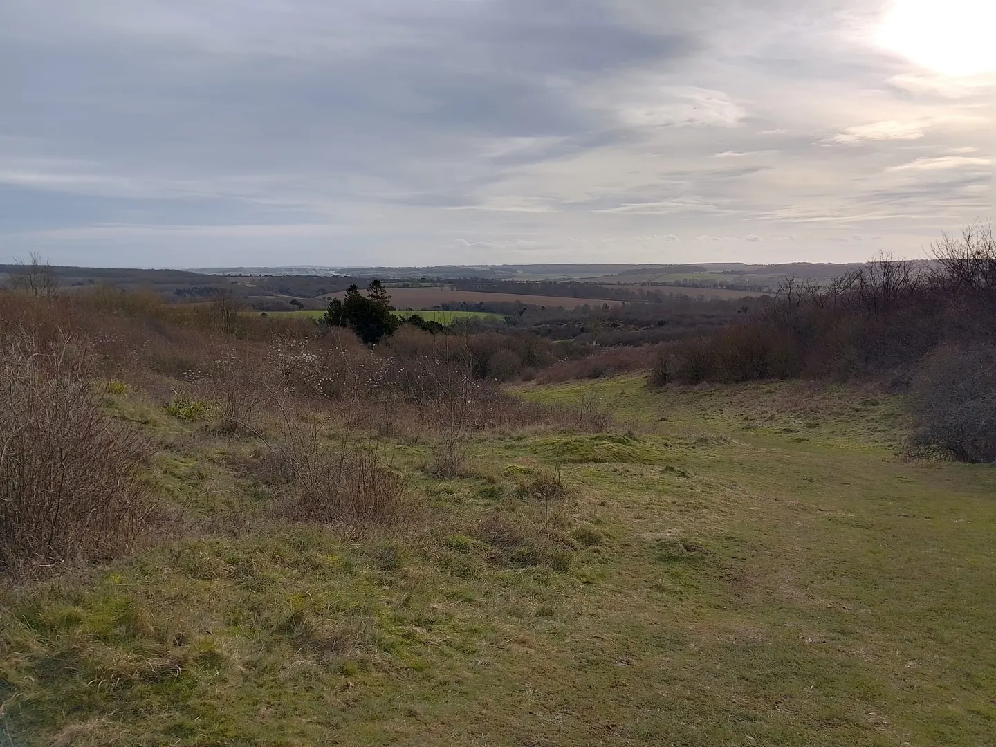 Photo of Stockbridge Down, a Site of Special Scientific Interest in Hampshire, south east England.