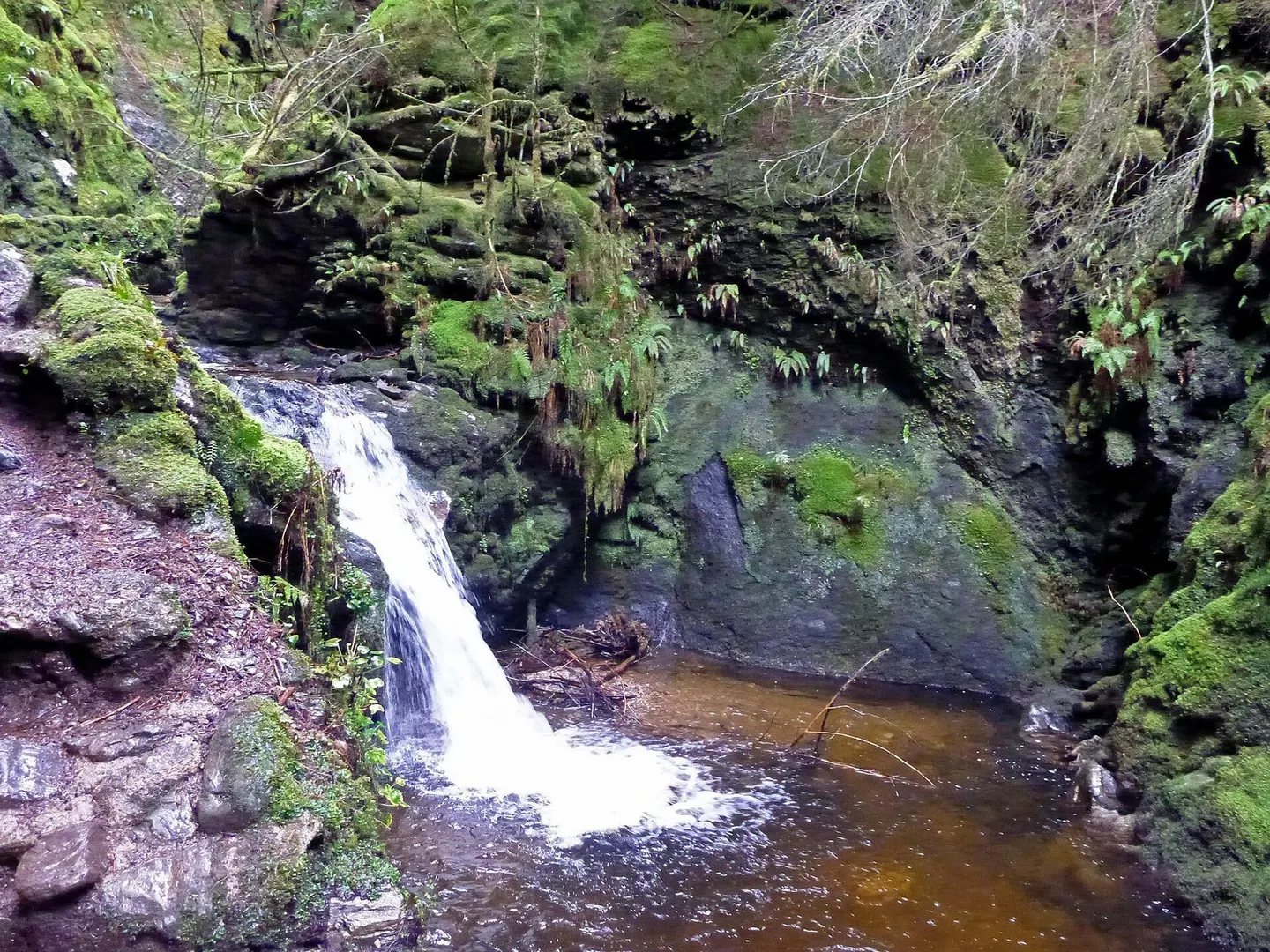 Photo of Puck's Glen, a visitor attraction near Kilmun in Loch Lomond & The Trossachs, Argyll and Bute, the Scottish Highlands and Islands.