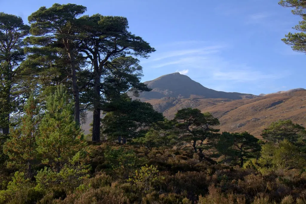 Photo of Glen Affric, a National Scenic Area in Highland, the Scottish Highlands and Islands.