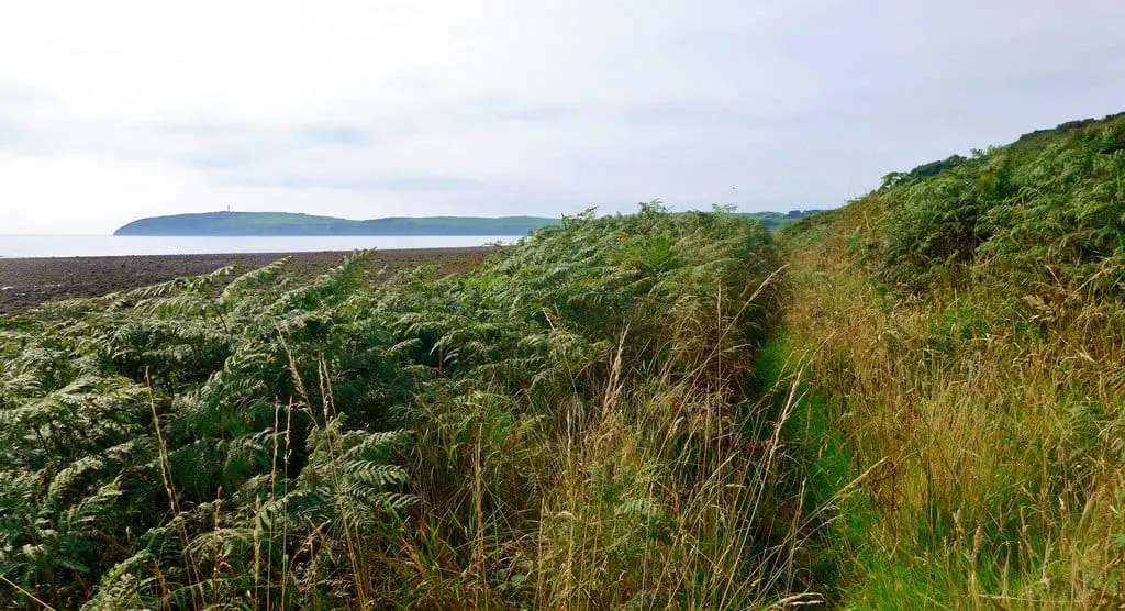 Photo along the Mull of Galloway Trail, a long-distance trail running from Mull of Galloway to Glenapp, southern Scotland.