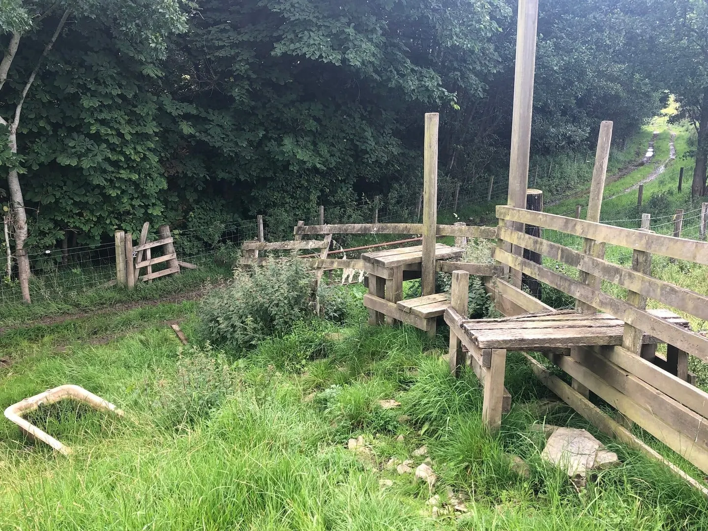 Photo along the Borders Abbeys Way, a long-distance trail in southern Scotland.