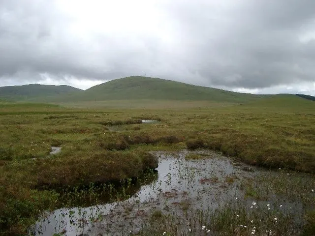 Photo of Forsinard Flows, a National Nature Reserve in Highland, the Scottish Highlands and Islands.